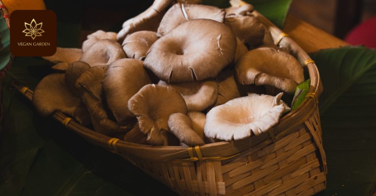 Vegane Ernährung – Gesund & ausgewogen im Alltag